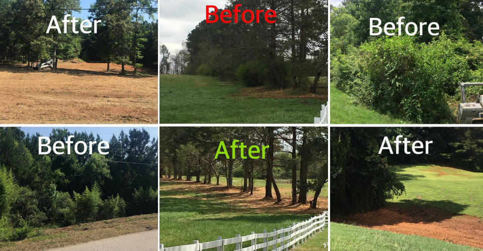 Before & After of land clearing 